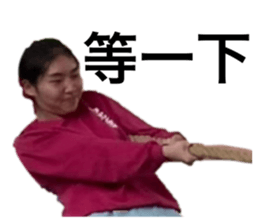 446586619