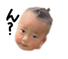 446602537