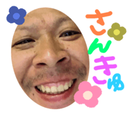 446618181