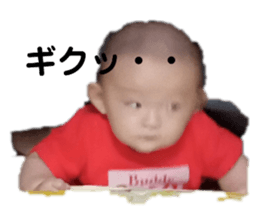 446620143