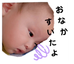 446620156