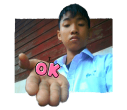 446626516