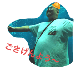 446635535