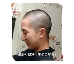446635540