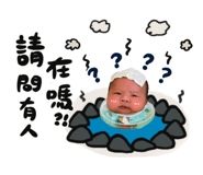 446636296