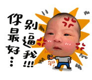 446636302