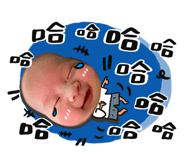 446636304