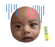 446735851