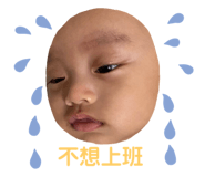 446735853
