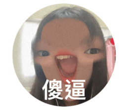 446736517