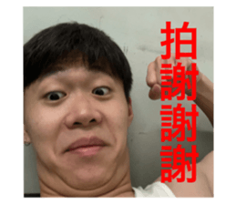 446771224