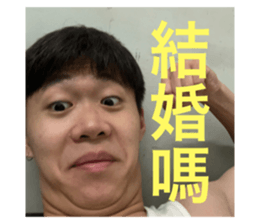 446771225