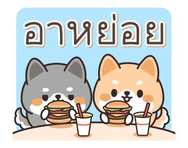 ชิบะ หมาน้อยน่ารัก รูปที่ 3