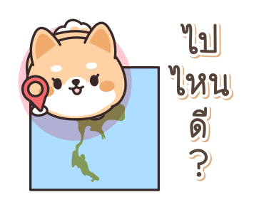 ชิบะ หมาน้อยน่ารัก รูปที่ 7