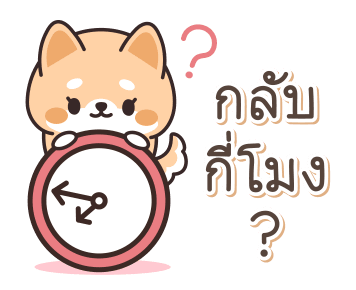 ชิบะ หมาน้อยน่ารัก รูปที่ 8