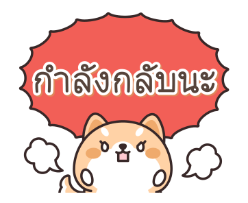 ชิบะ หมาน้อยน่ารัก รูปที่ 13