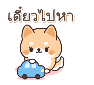 ชิบะ หมาน้อยน่ารัก รูปที่ 15