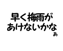 446778562
