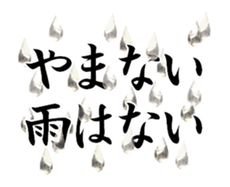 446778564