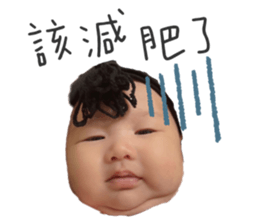 446837802