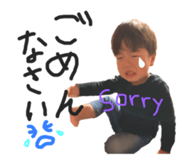 446850637