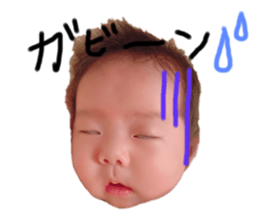 446850640