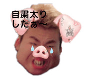 446853291