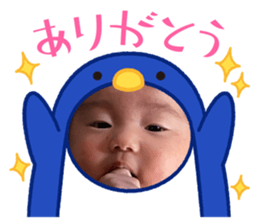 446856240