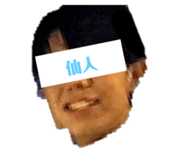 446868447