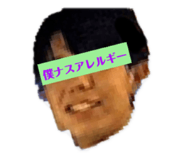 446868456
