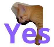 44689255