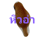 44689256