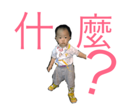 44696299