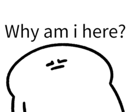 447002081