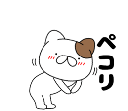 44700338