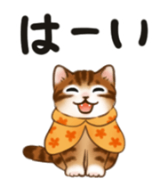 447063963