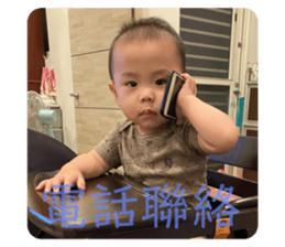 447105223
