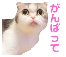 447294773