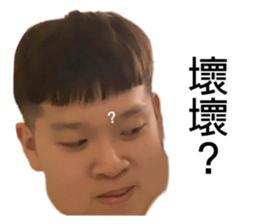 447335393