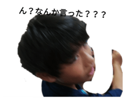 447384841