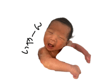 447385481