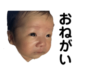 447385486