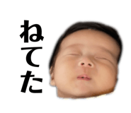447385492