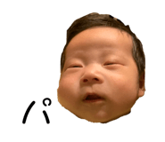 447385499