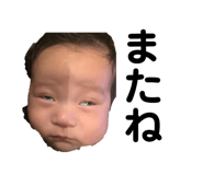 447385509