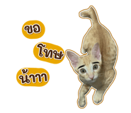 447484044
