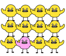 447524393