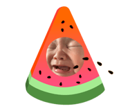 447599155