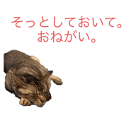 447634835