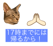 447634842